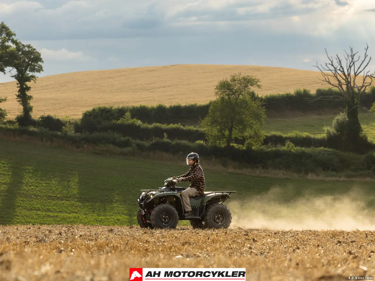 Billede 7 - Yamaha Kodiak 700 EPS Traktor