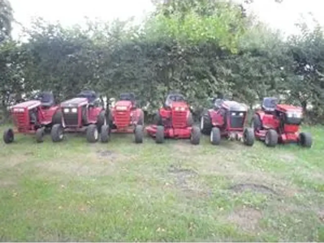 Billede 6 - Wheel Horse Købes