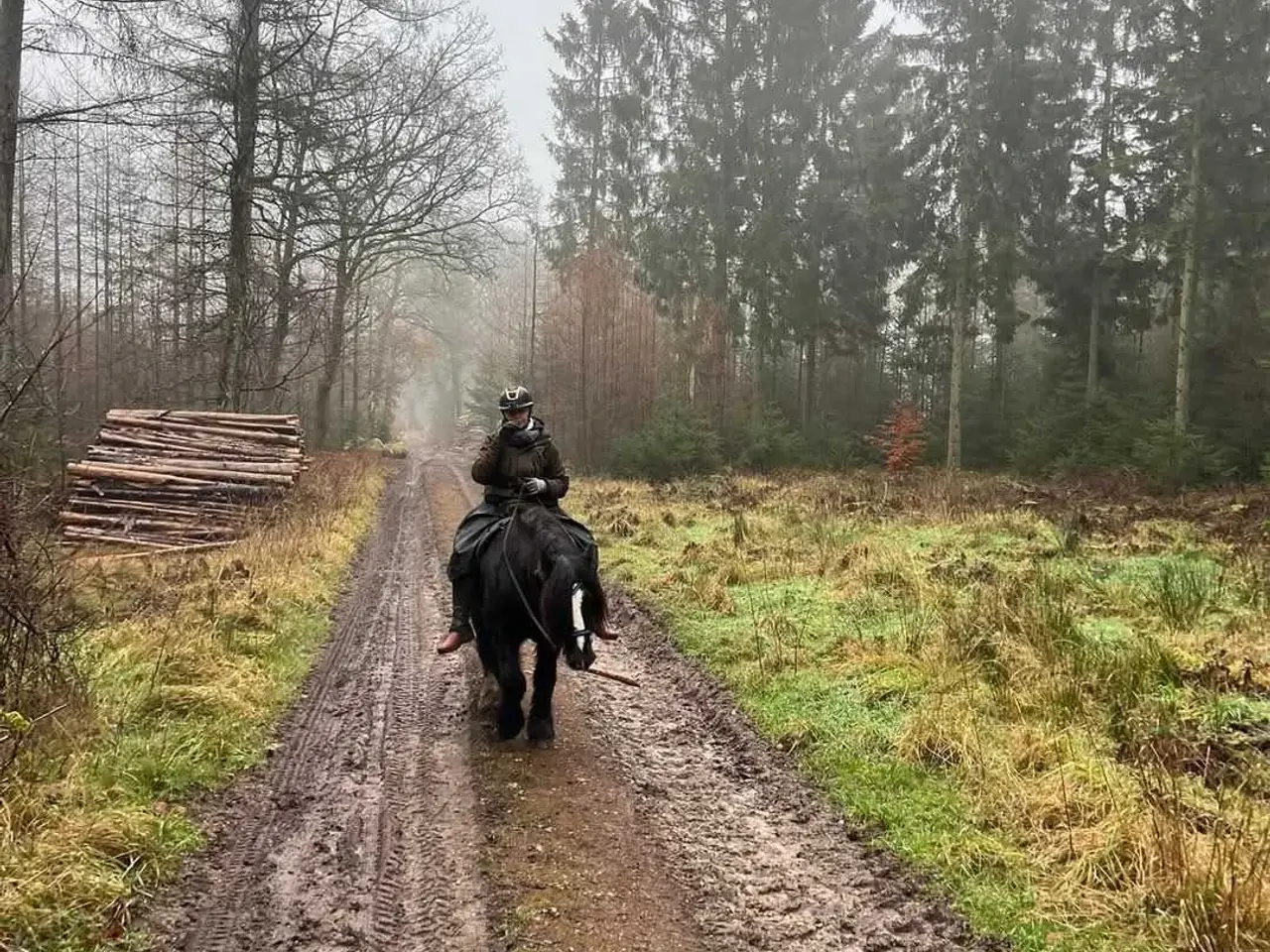 Billede 9 - Tinker/Irish cob vallak