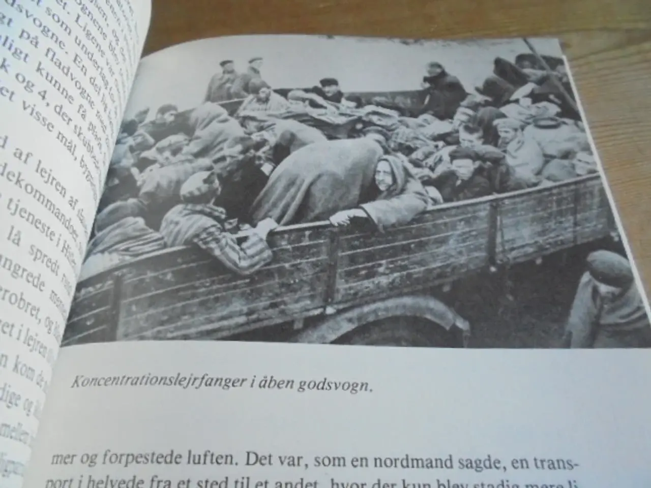 Billede 7 - Vi førte dem tilbage til livet – De hvide busser