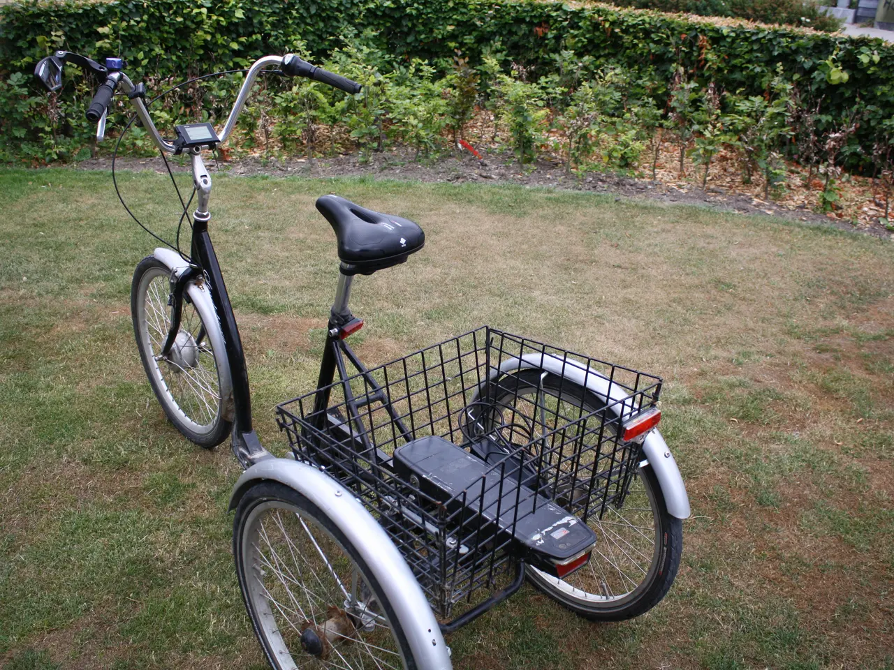 Billede 4 - 3 Hjulet elcykel