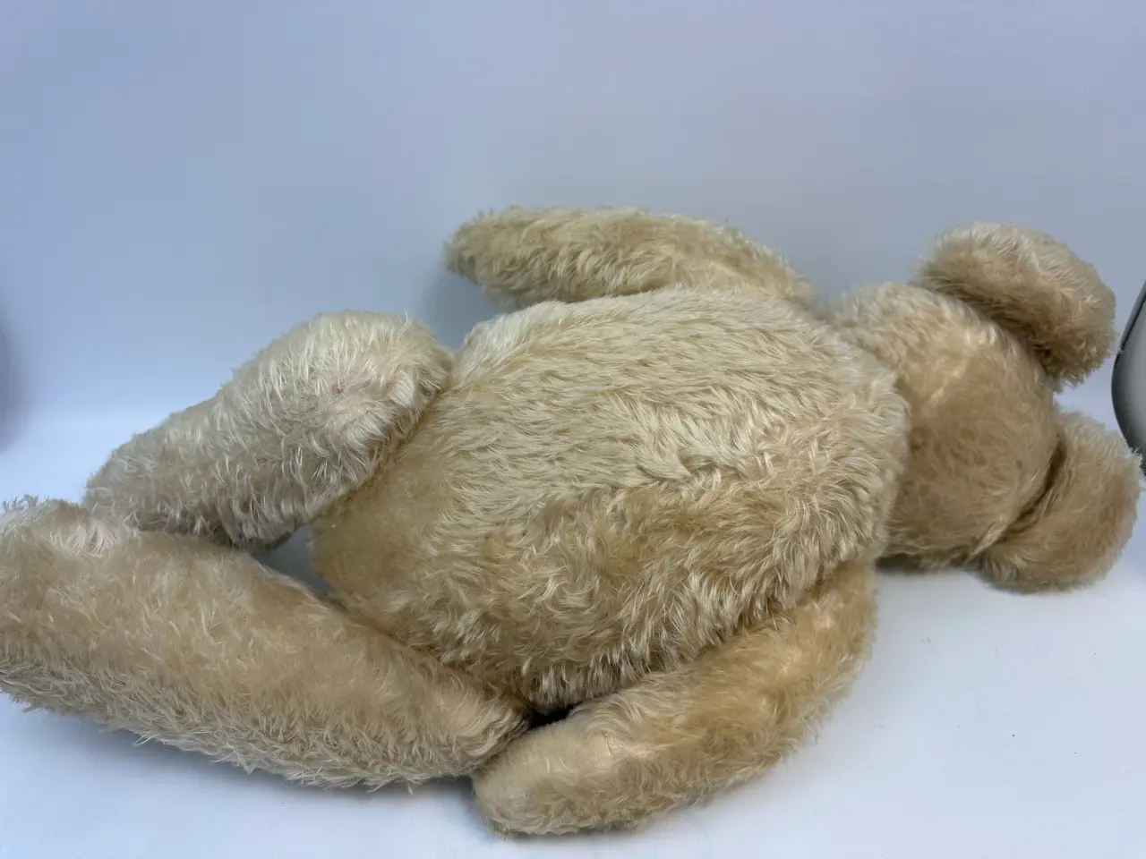 Billede 8 - STEIFF bamse, m. brumme lyd (vintage) 