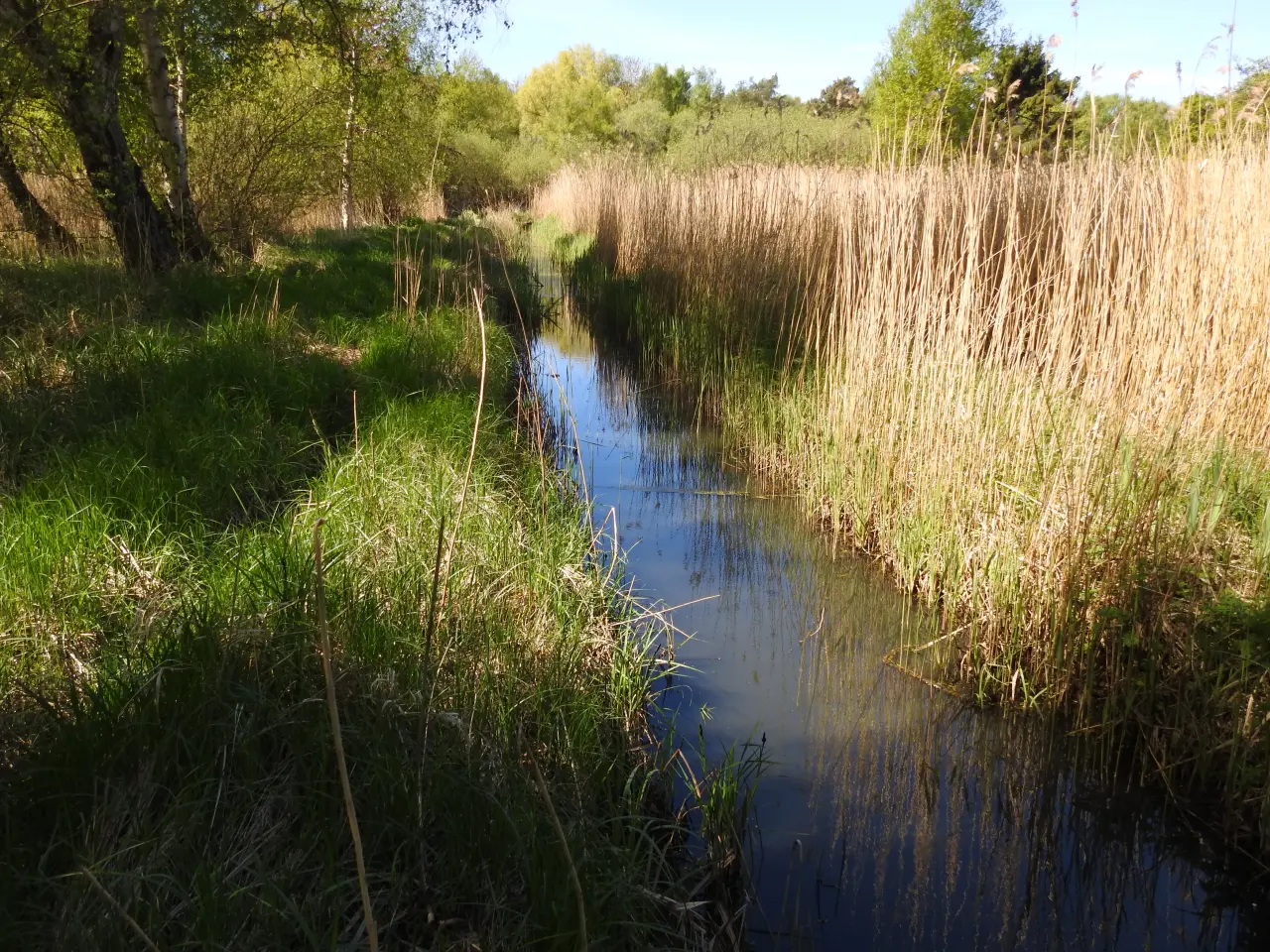 Billede 4 - jagtområde sælges