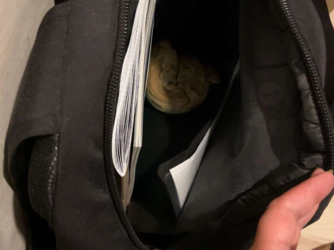 Billede 6 - Kongepython
