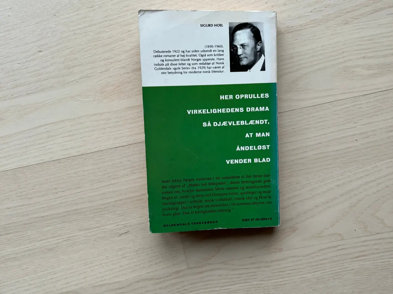 Billede 2 - Mødet ved milepælen