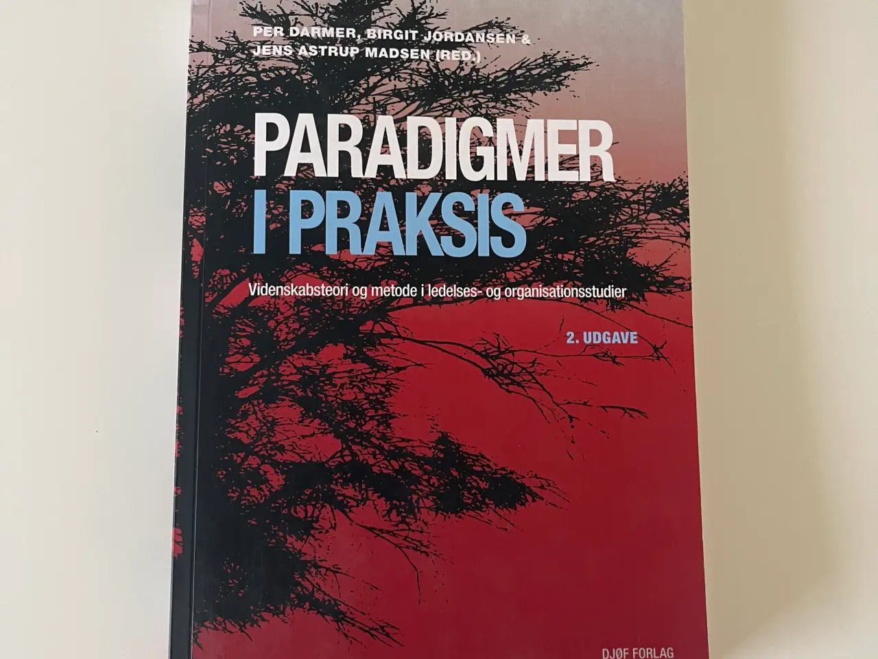 Billede 1 - Paradigmer i Praksis