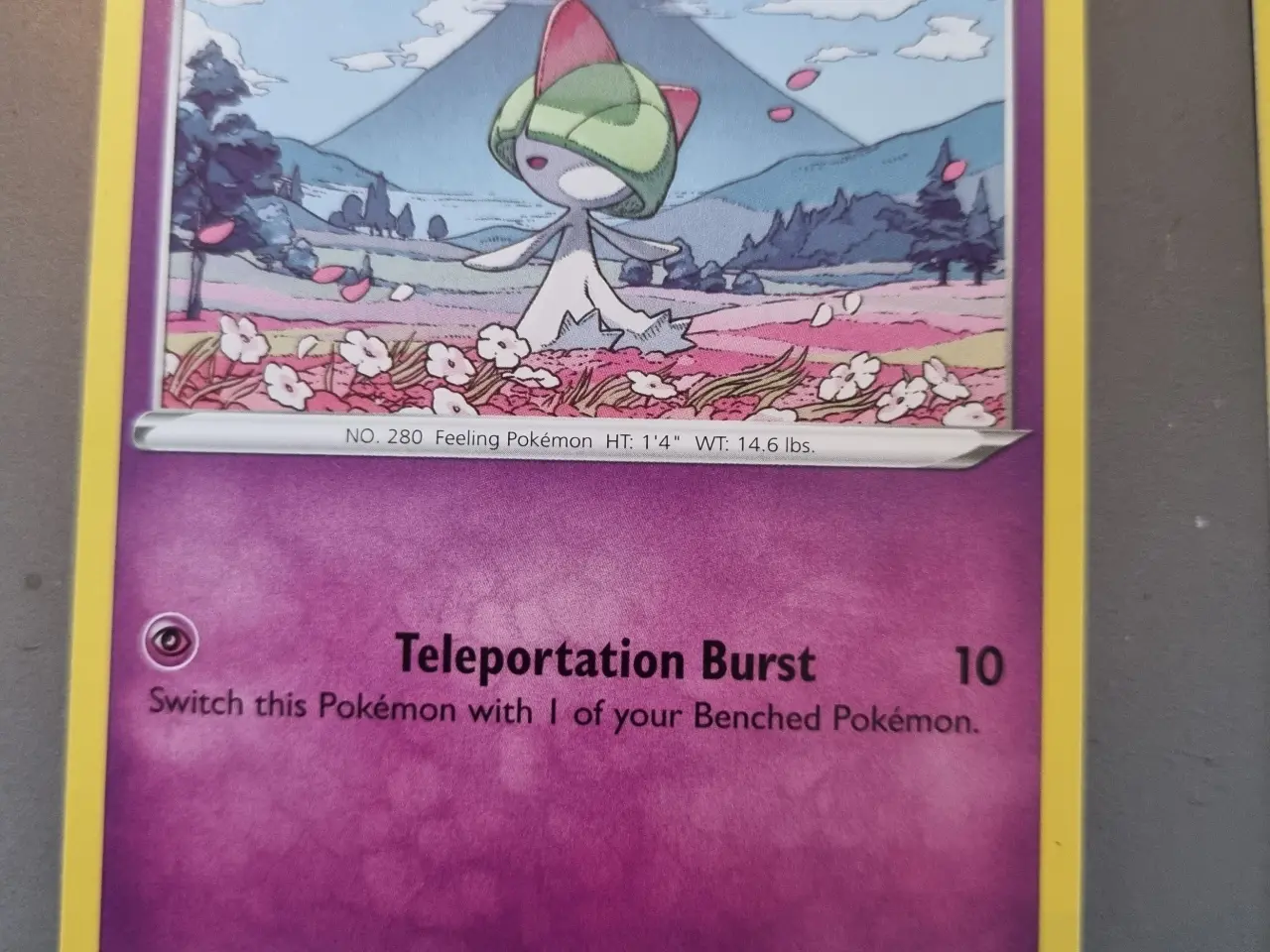 Billede 10 - Annonce 50 - Pokemon