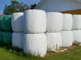 Wrap