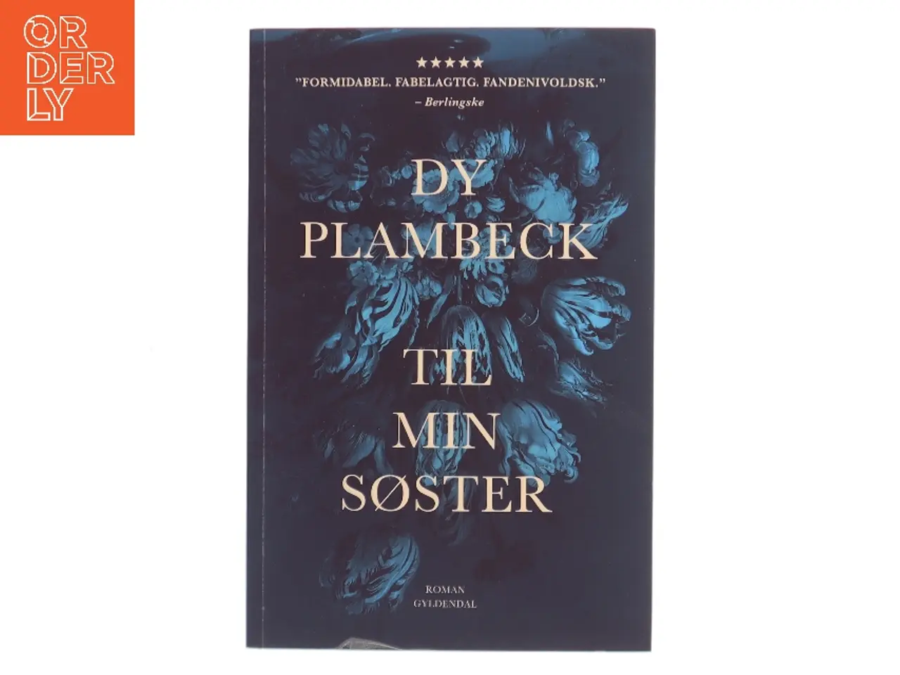 Billede 1 - Til min søster : roman (Læsekredssæt) af Dy Plambeck (Bog)