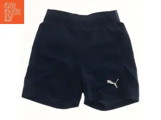 Puma shorts fra Puma (str. 140)