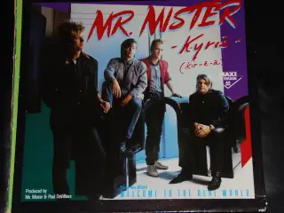 Lp - MR. MISTER & Paul DeVilliers