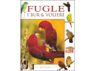 Fugle i bur og voliere