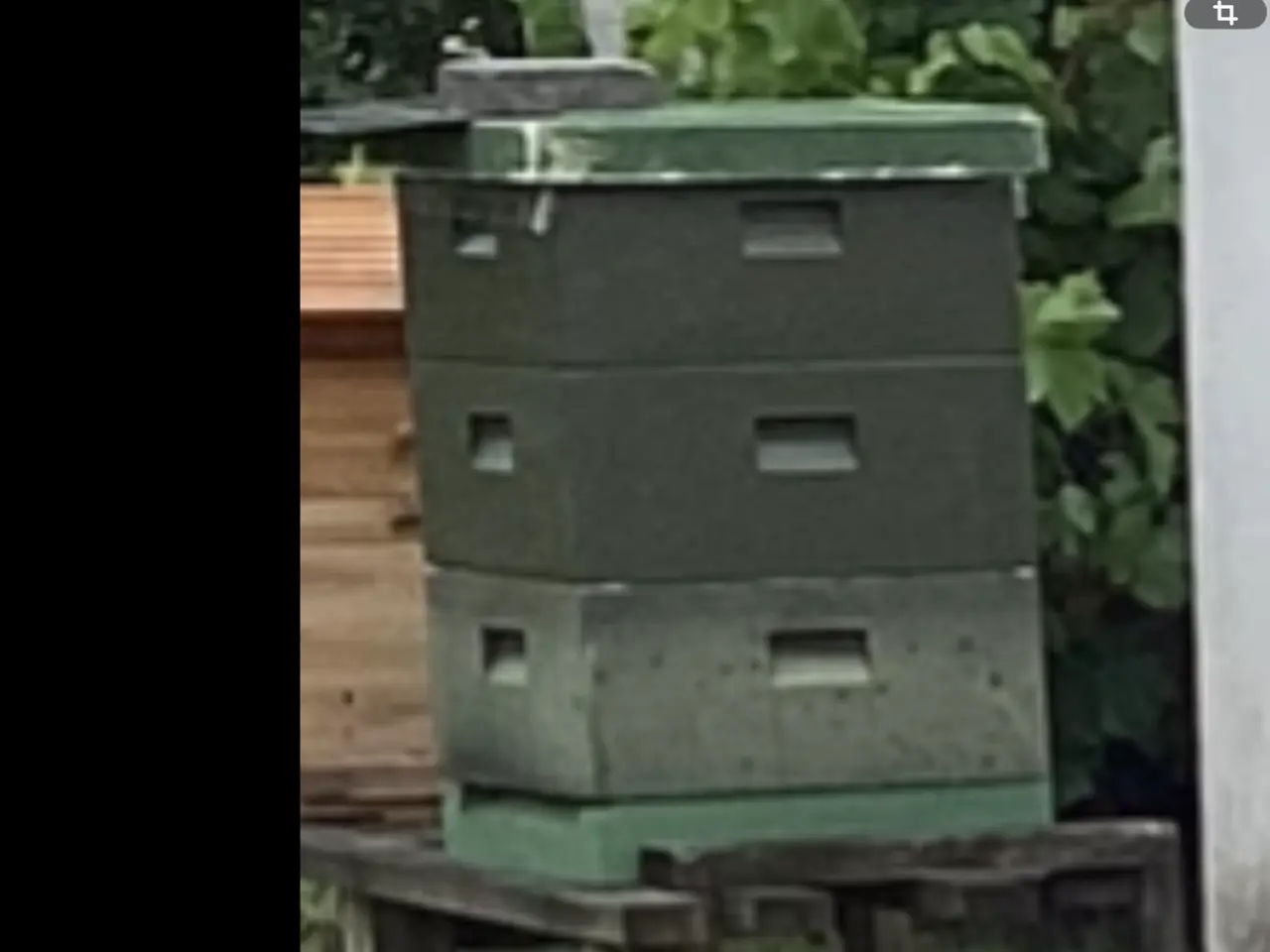 Billede 2 - Bistader uden bier LR. 550kr.