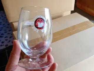 24 ølglas fra huyghe