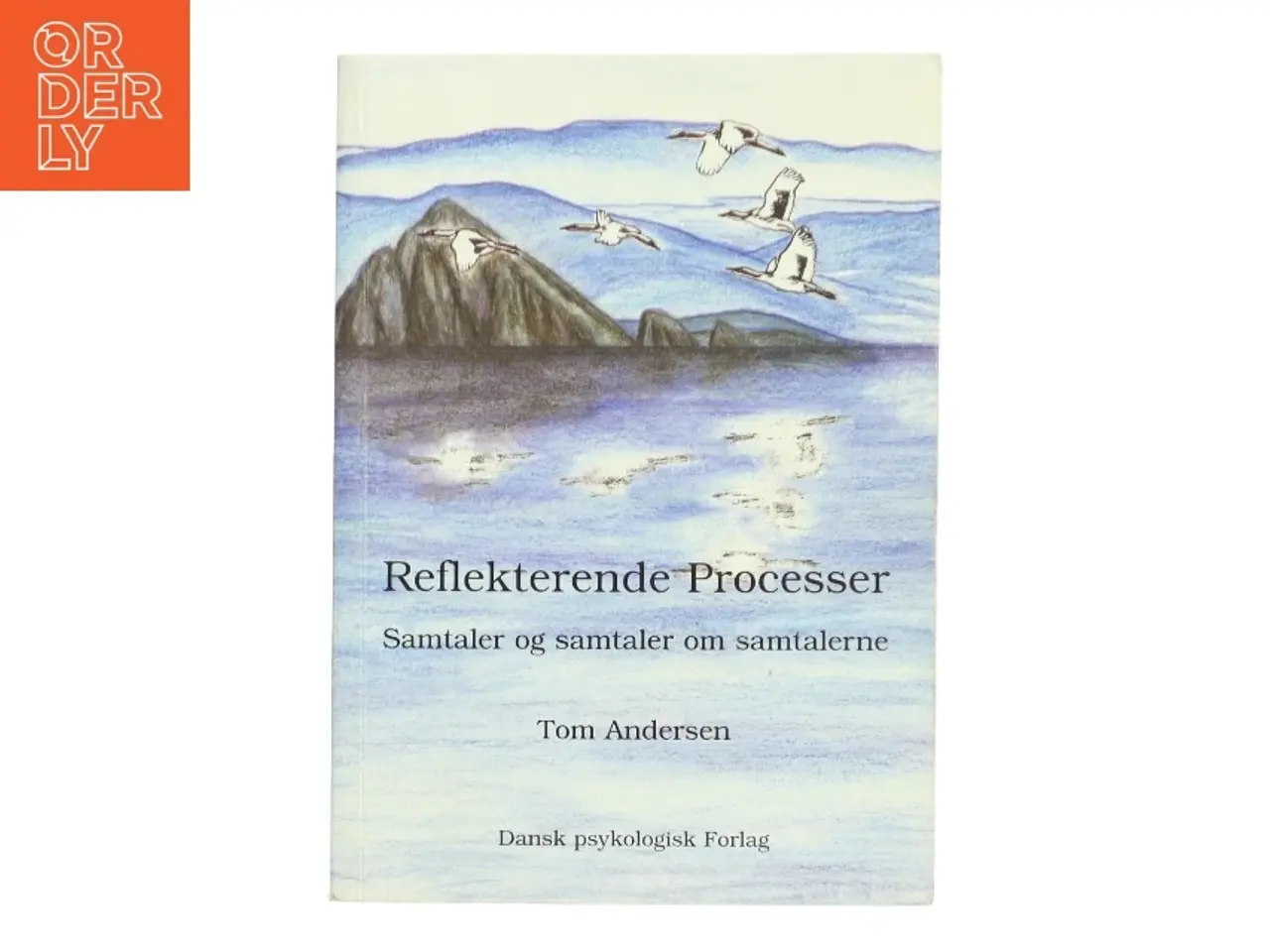 Billede 1 - Reflekterende processer : samtaler og samtaler om samtalerne af Tom Andersen (f. 1936) (Bog)