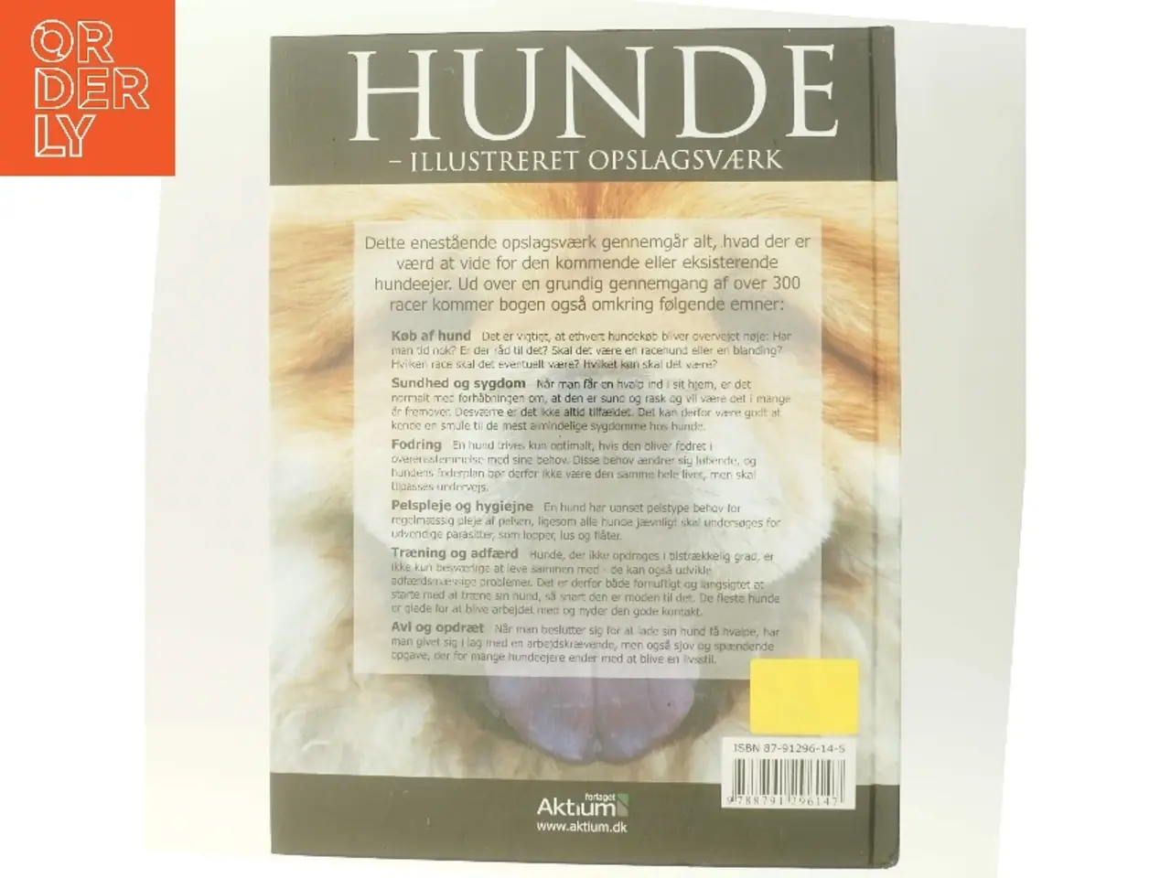 Billede 3 - Hunde - illustreret opslagsværk (Bog)