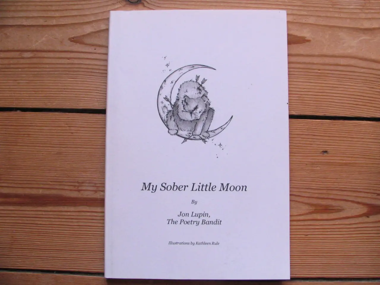 Billede 1 - Jon Lupin the Poetry Bandit. My Sober Little Moon