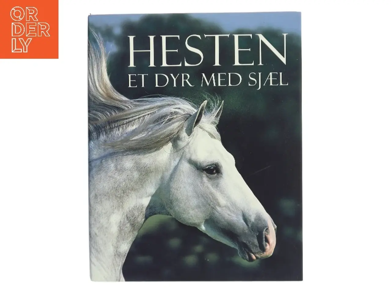Billede 1 - Hesten : Et dyr med sjæl af <Bogens forfattere< (Bog)