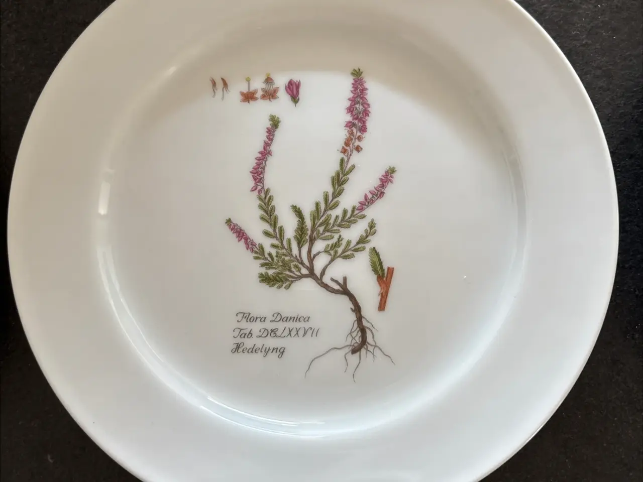 Billede 9 - Flora Danica/Faxe platter sælges