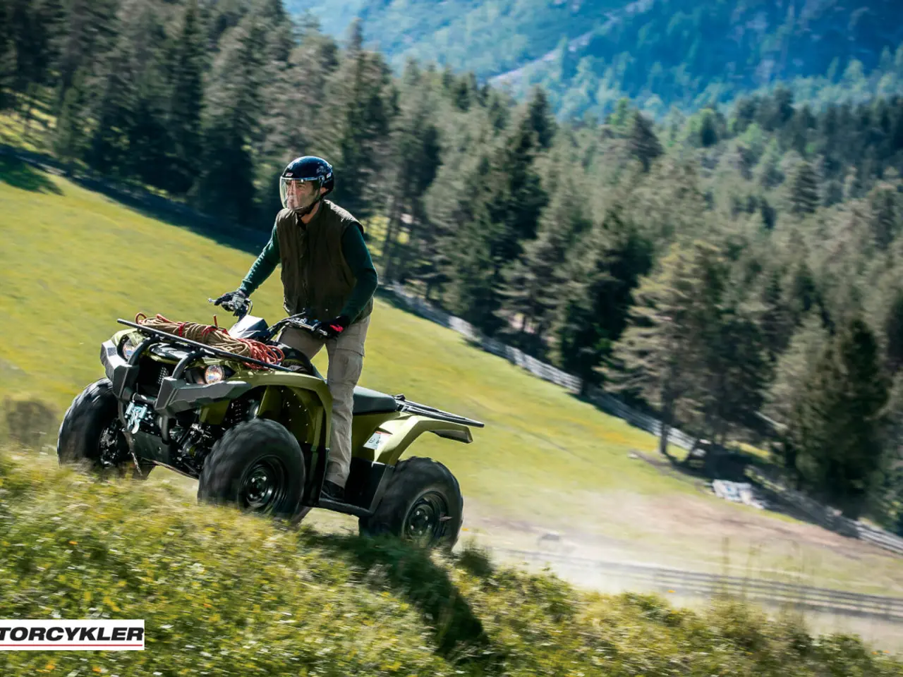 Billede 5 - Yamaha Kodiak 450 IRS Traktor
