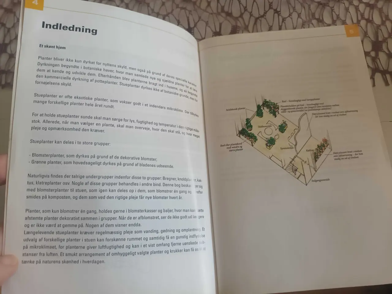Billede 4 - Haveguiden - Den blomstrende stuehave