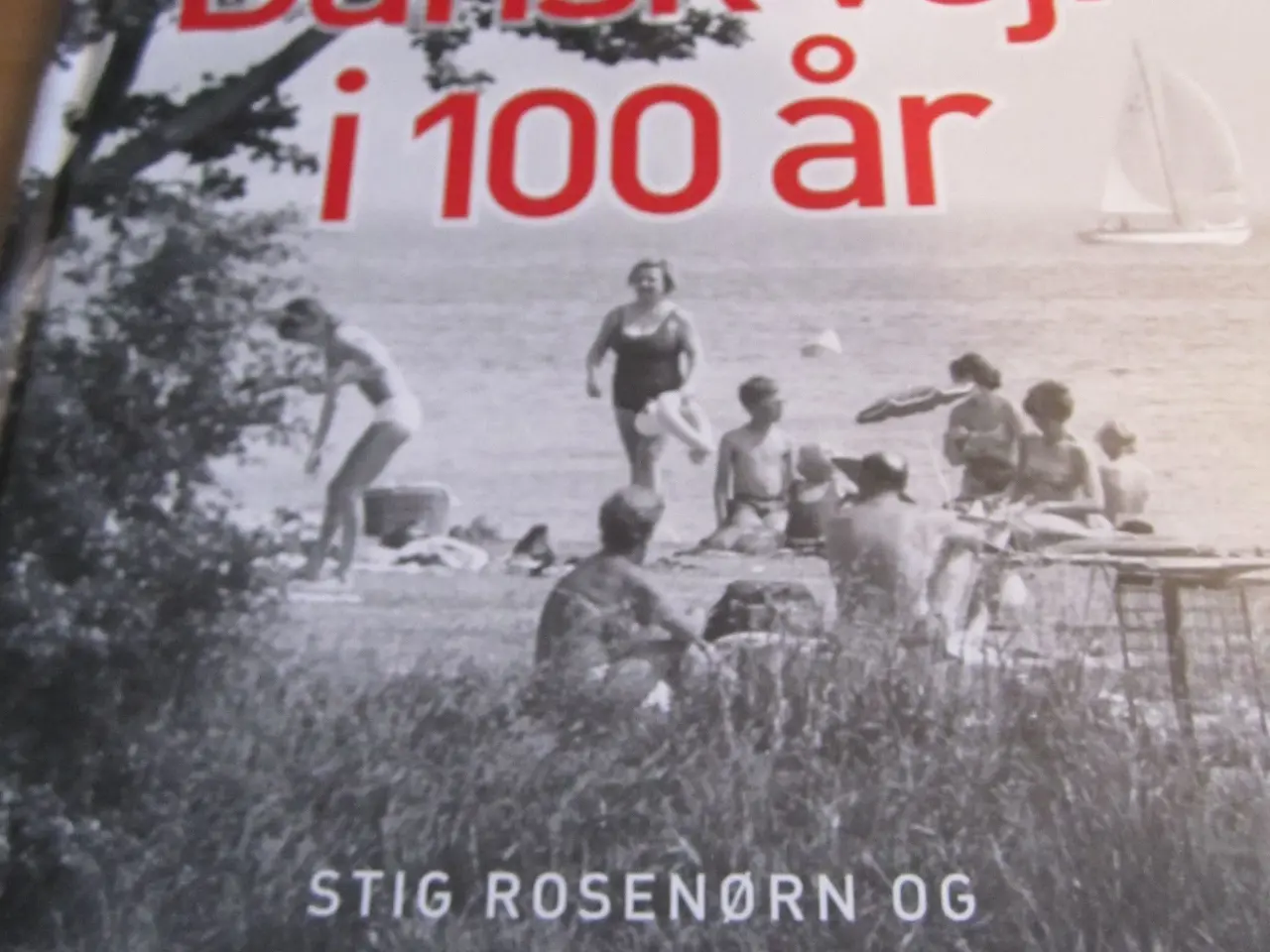 Billede 1 - Dansk VEJR i 100 år.