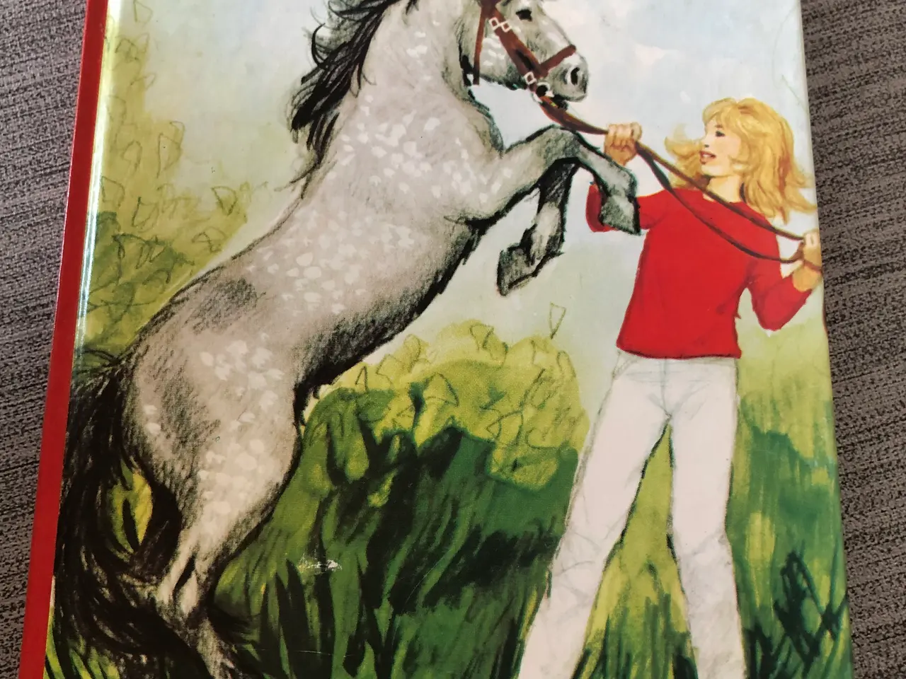 Billede 1 - Bog: Britta og Silver