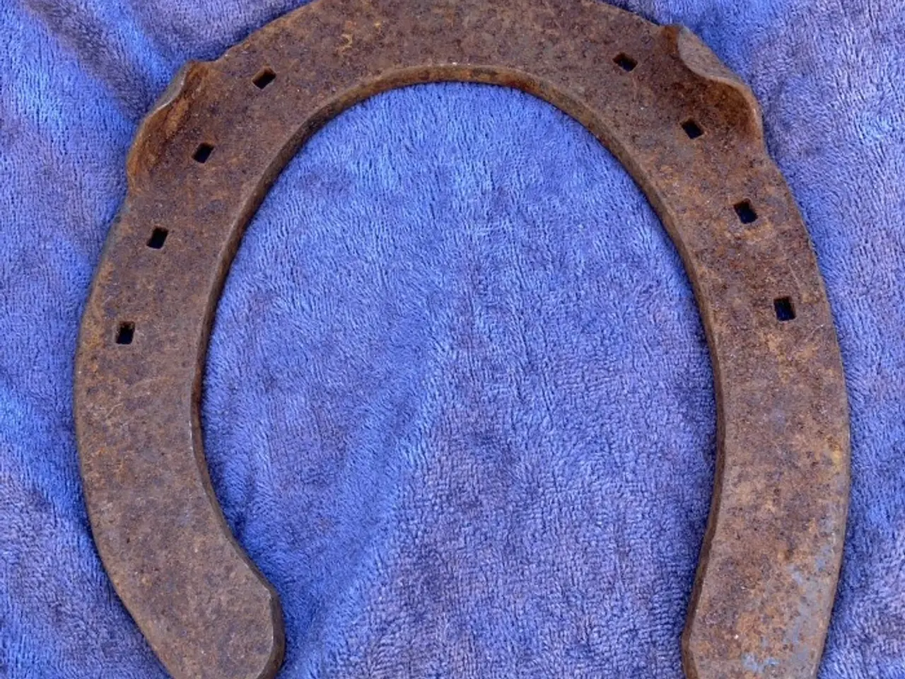 Billede 2 - Hestesko – 15 cm høj