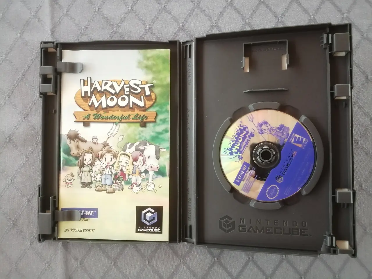 Billede 2 - Harvest Moon : A Wonderful Life