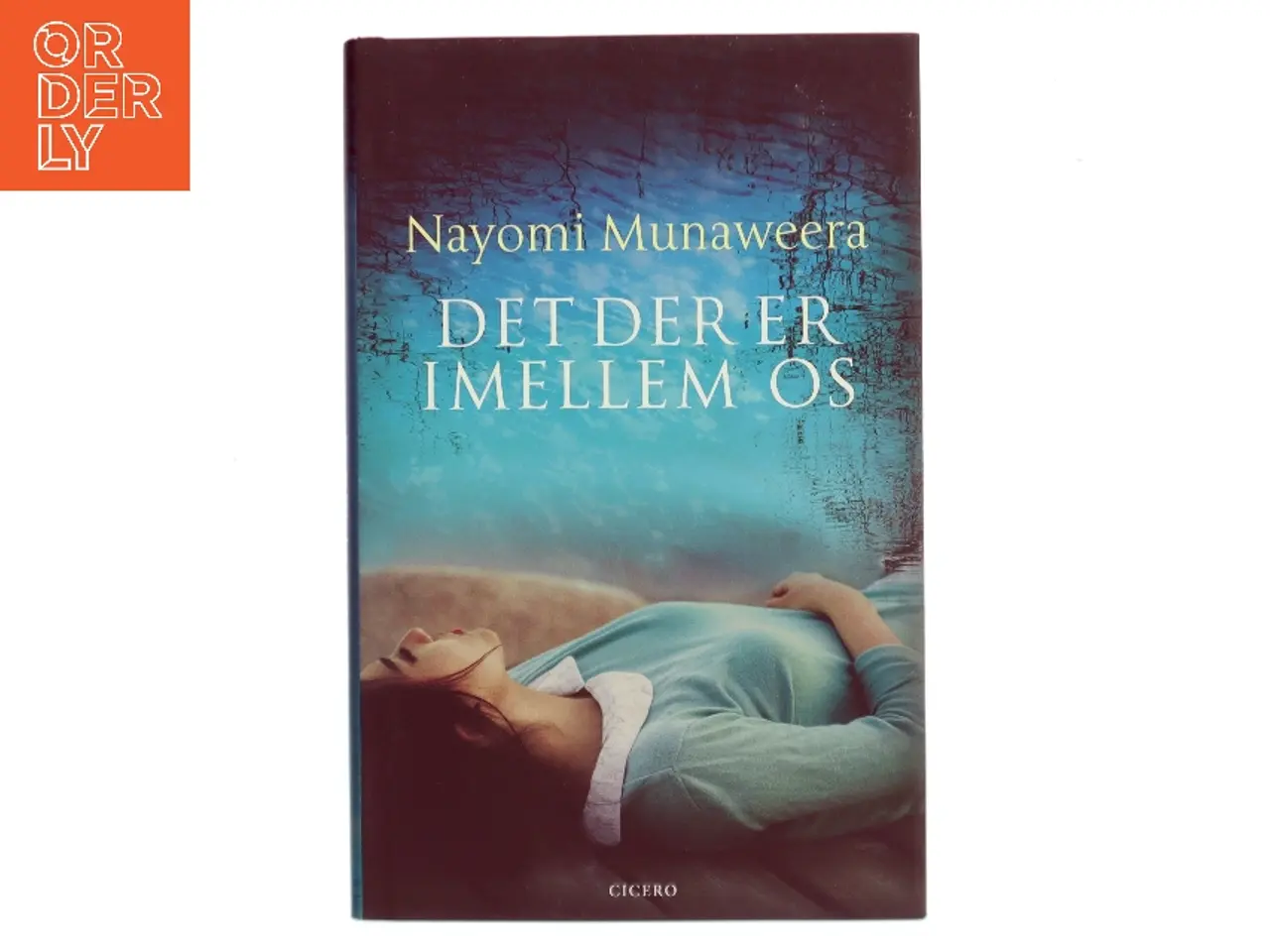 Billede 1 - Det der er imellem os af Nayomi Munaweera (Bog)