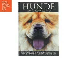 Hunde - illustreret opslagsværk af Aktium (Bog)