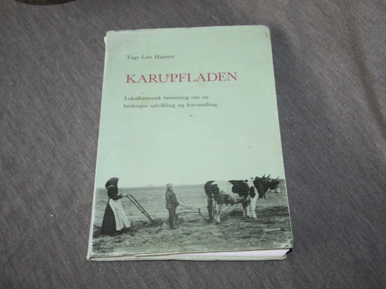 Billede 1 - Karupfladen af Tage Lier Hansen Lokalhistorisk