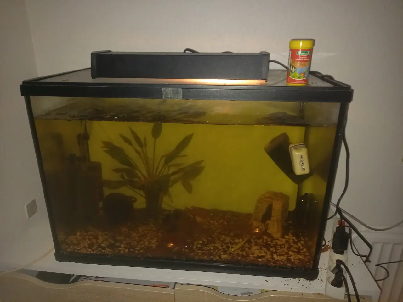 Billede 1 - Akvarium
