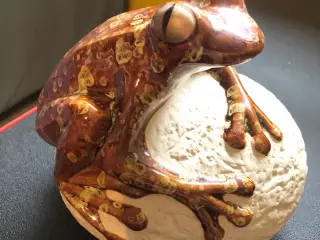 FRØ på stenen…🐸