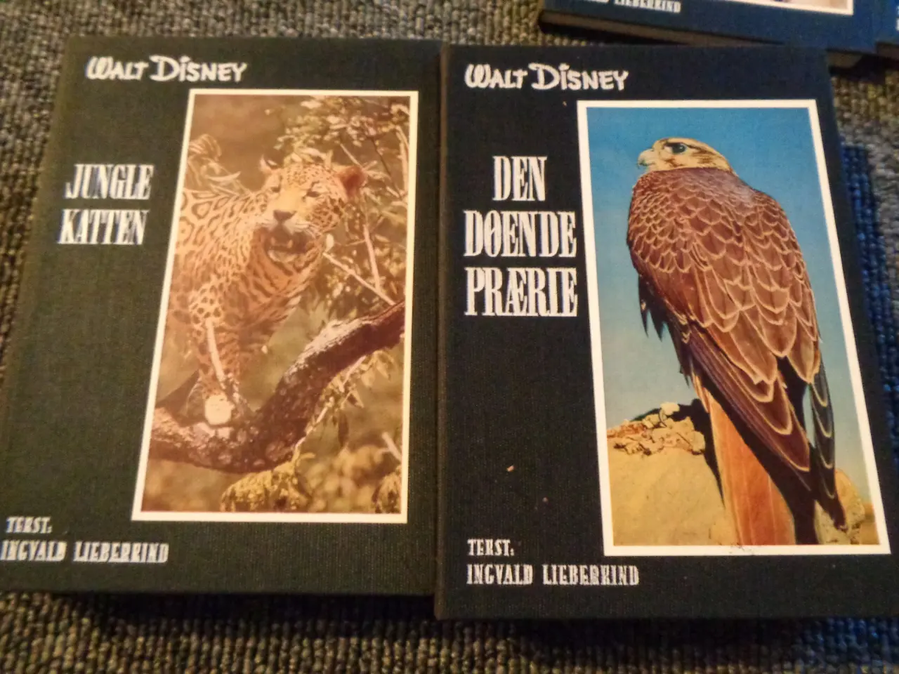 Billede 4 - Walt Disney
