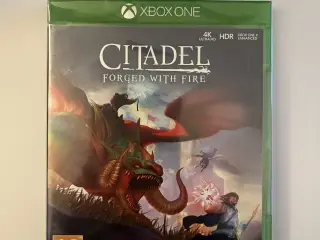 Citadel Forged with Fire Xbox One spil