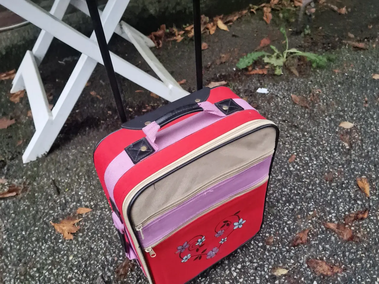 Billede 3 - Trolley