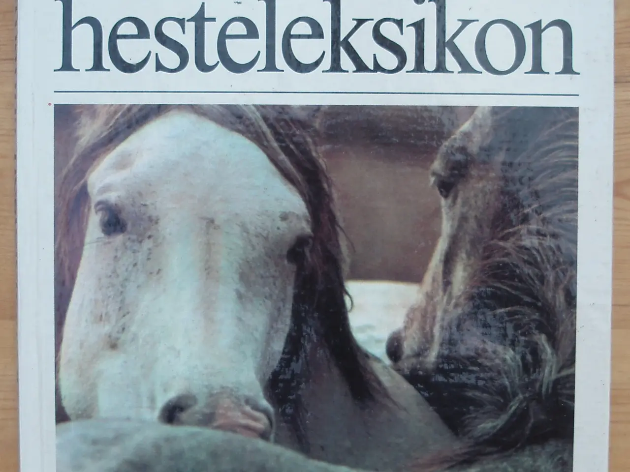 Billede 1 - Lademanns hesteleksikon