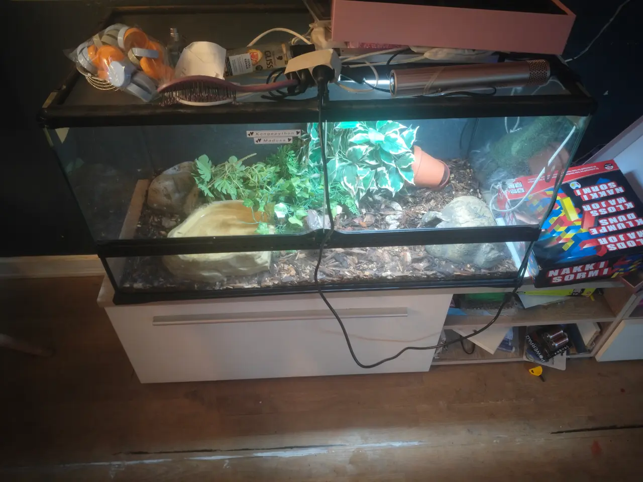 Billede 2 - Kongeboa med terrarium