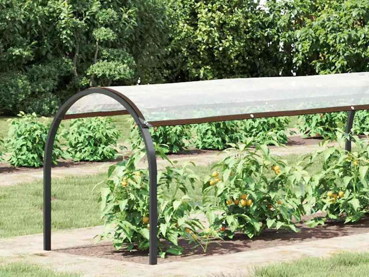 Billede 2 - Klar presenning med øjer 1 × 6 m - polyethylen, transparent