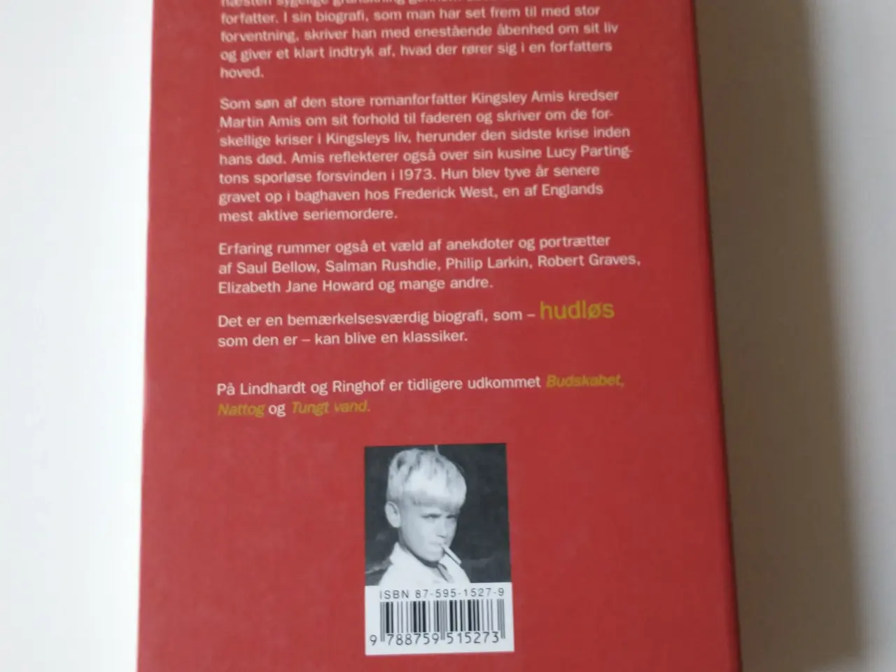 Billede 2 - Erfaring. Af Martin Amis