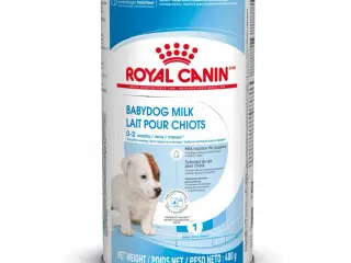 Royal Canin Babydog Milk