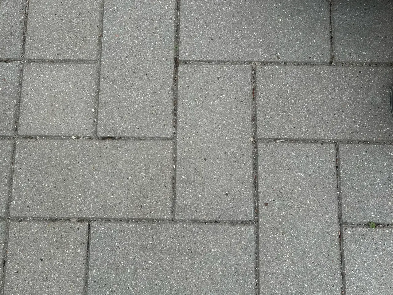 Billede 1 - Gratis - havefliser