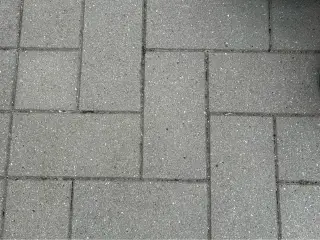 Gratis - havefliser