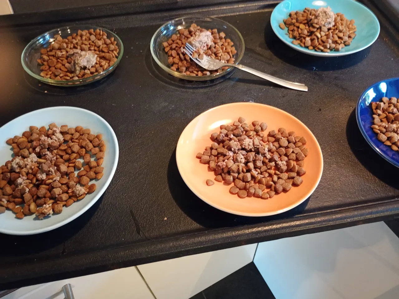 Billede 8 - De skønneste Shih Tzu hvalpe sælges.