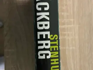Stenhuggeren af Camilla Läckberg