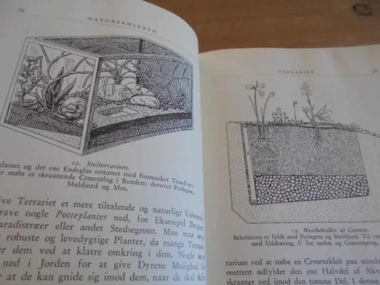 Billede 3 - Natursamleren – Hans Hvass – udg. fra 1942
