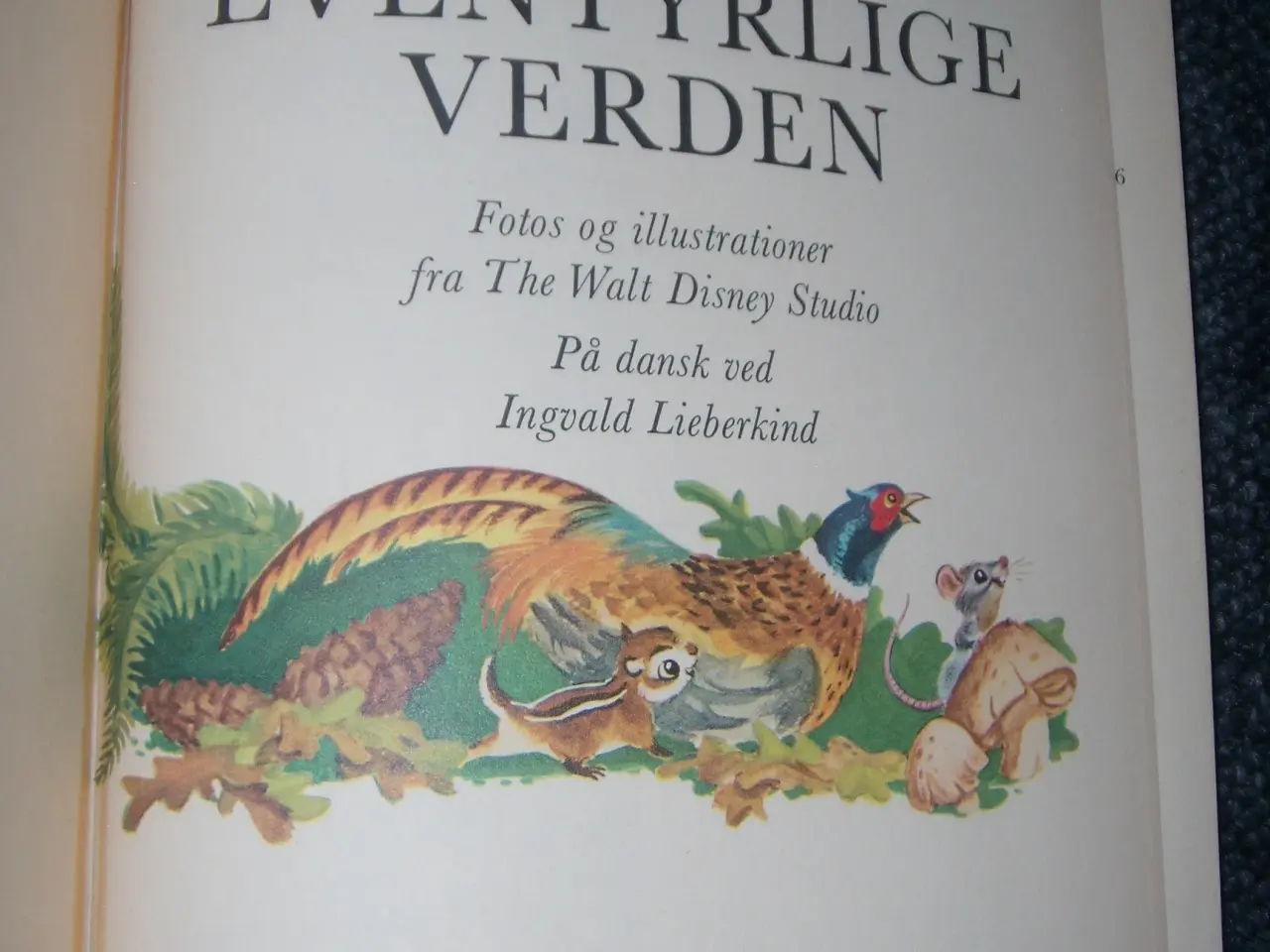 Billede 5 - Walt disney