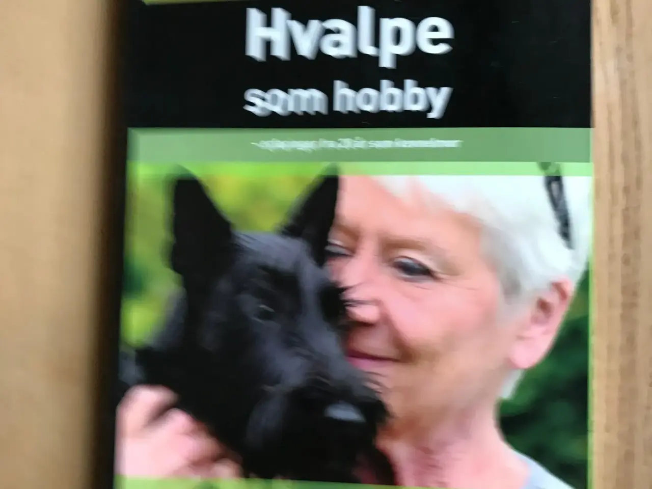 Billede 1 - Hvalpe som hobby  af Ulla Rønnow