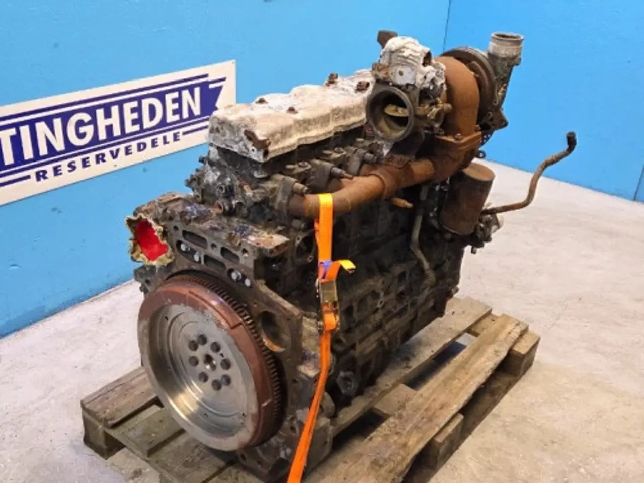 Billede 3 - Iveco F4DGE614H Motor 51693360